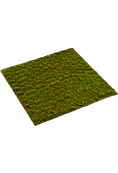 Mousse Grimmia plante artificielle 100cm x 100cm