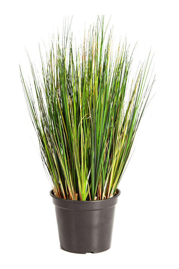 Plante artificielle Grass Foxtail