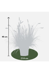 Abat-jour en herbe Hameln