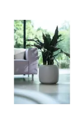 Pure® Beads Small Balanced Beige