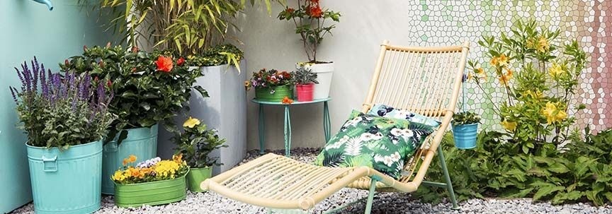 Placer les plantes d'intérieur à l'extérieur en été