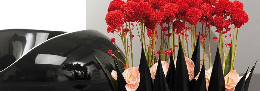 Plantes comme cadeau original de Saint-Nicolas