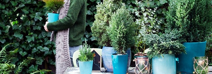 Surveiller vos plantes à l'extérieur