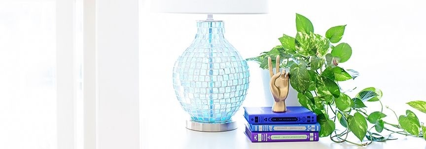 Donnez à vos plantes d'intérieur un bon départ au printemps