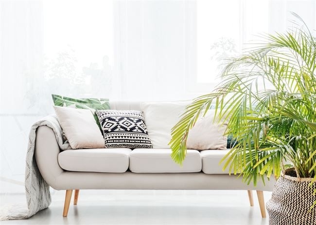 Avez-vous déjà une plante artificielle chez vous ?