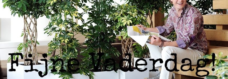 Conseil pour la fête des pères : offrez une plante d'intérieur !