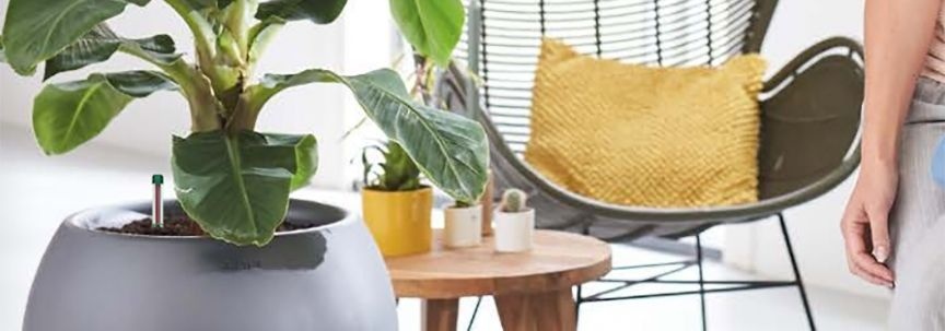Des pots autarciques idéaux pour les vacances