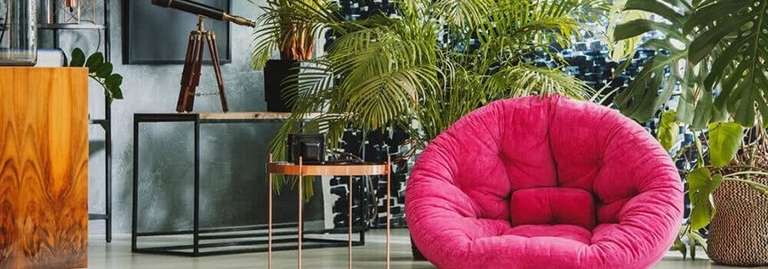 Les plantes tropicales idéales pour la saison chaude