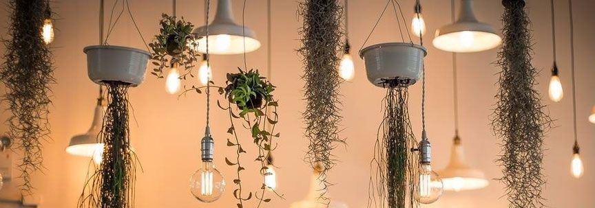 Ajouter des plantes à un intérieur industriel