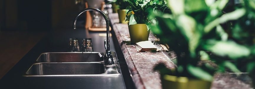 Faites un saut en 2019 avec nos paquets de plantes