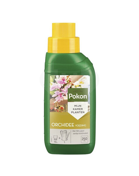 Pokon Nutrition des orchidées