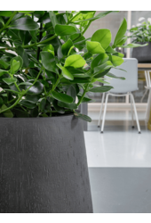 Baq Riva Darcy Anthracite