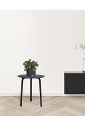 Succulentes dans la tendance à l'auto-arrosage