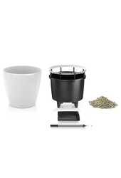 Zamioculcas dans le Classico de l'autogestion