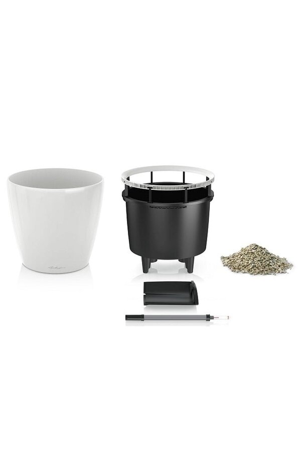 Zamioculcas dans le Classico de l'autogestion