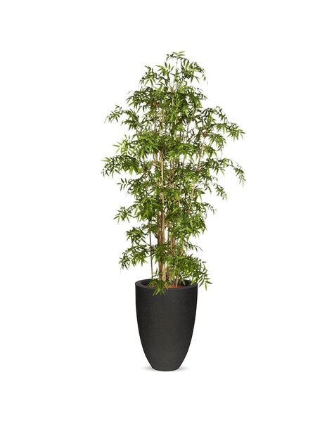 Capi Capi | Plante artificielle