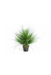 Plante artificielle oignon gazon - Vente