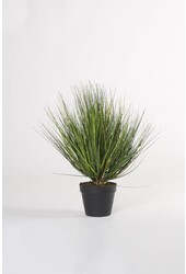 Plante artificielle oignon gazon - Vente