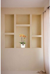 Phalaenopsis Optifriend Indy Tuscany white