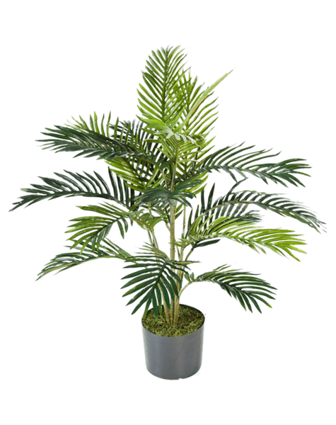 Plante artificielle - vente