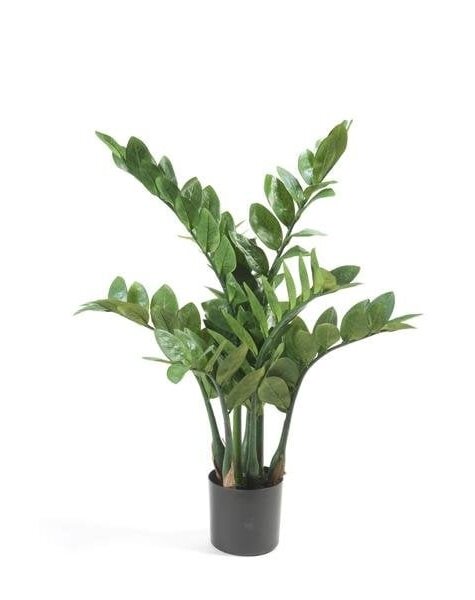 Plante artificielle - vente