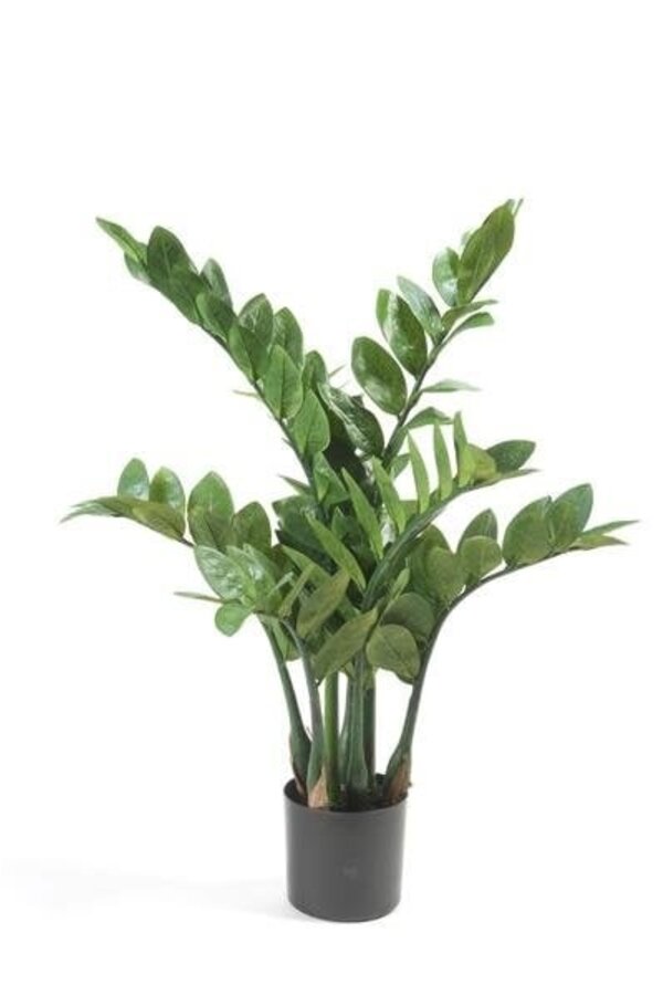 Plante artificielle de Zamioculcas - vente