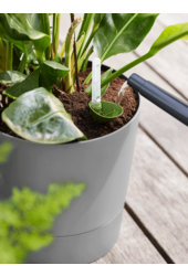 Greensense Aqua Care Round Light Concrete - vente