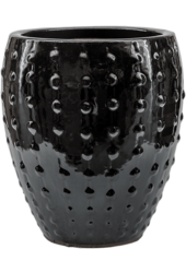 Laos Mini Emperor Gold