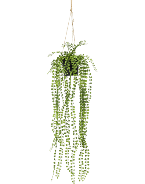 Plante artificielle - promotion