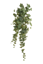 Plante artificielle Ivy - promotion