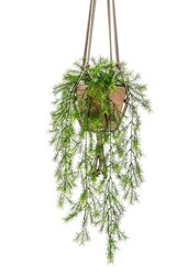 Asparagus Sprengeri Plante artificielle suspendue - promotion