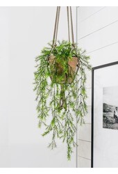 Asparagus Sprengeri Plante artificielle suspendue - promotion