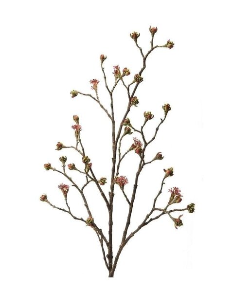 Plante artificielle - promotion