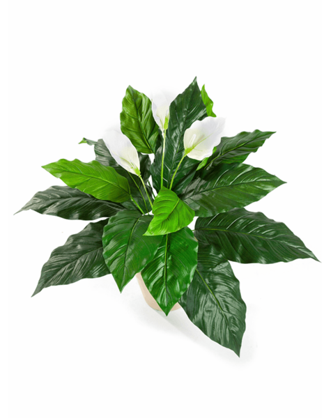 Plante artificielle - promotion