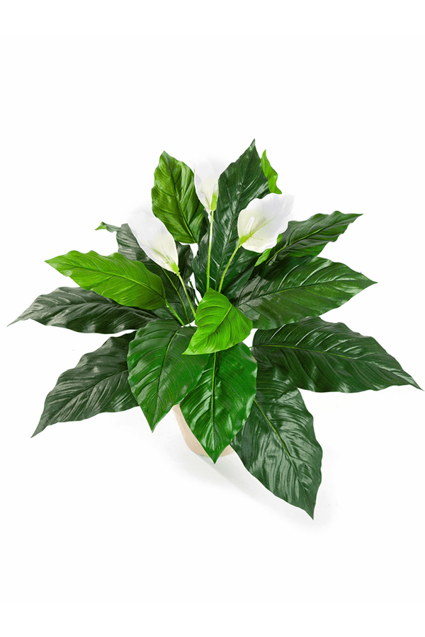 Plante artificielle Spathiphyllum - promotion