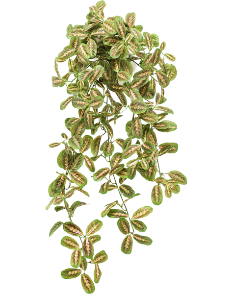 Plante artificielle - promotion