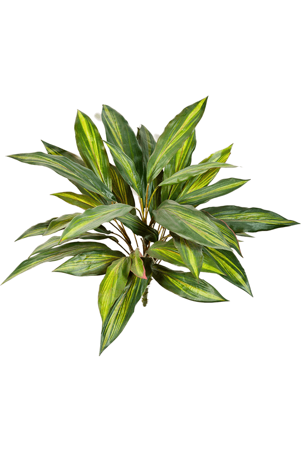 Plante artificielle Dracaena - promotion