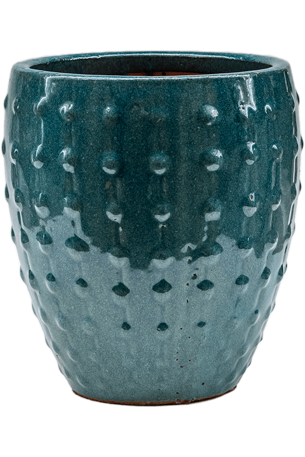 Laos Mini Empereur Bleu Océan