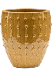 Laos Mini Empereur Bleu Océan