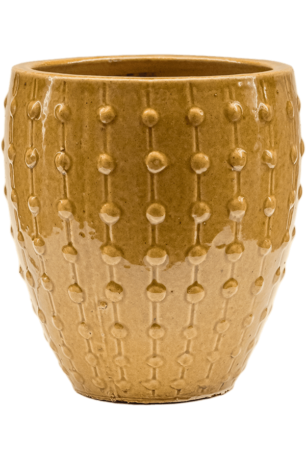 Laos Mini Ocre Empereur