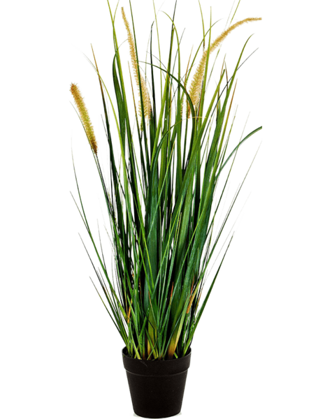 Plante artificielle - promotion