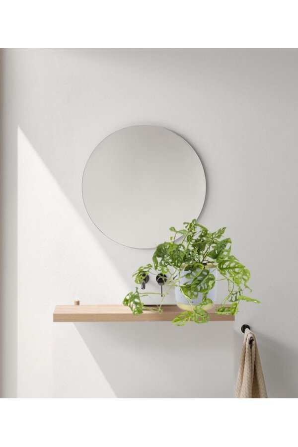 Hydroplant Monstera obliqua - promotion