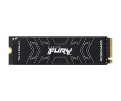 Kingston Kingston Technology 2000G FURY RENEGADE M.2 2280 NVMe SSD