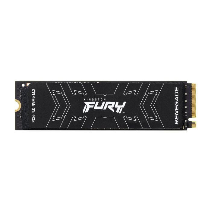 Kingston Kingston Technology 2000G FURY RENEGADE M.2 2280 NVMe SSD
