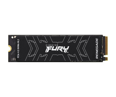 Kingston Kingston Technology 1000G FURY RENEGADE M.2 2280 NVMe SSD