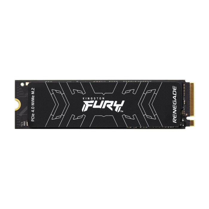 Kingston Kingston Technology 1000G FURY RENEGADE M.2 2280 NVMe SSD