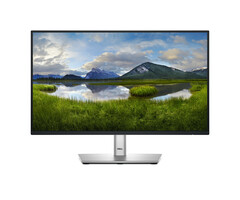 Dell DELL P Series P2225H computer monitor 54,6 cm (21.5") 1920 x 1080 Pixels Full HD LCD Zwart, Zilver