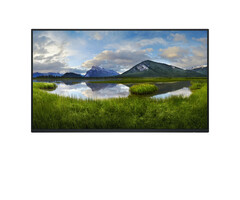 Dell DELL P Series P2425HE_WOST computer monitor 61 cm (24") 1920 x 1080 Pixels Full HD LCD Zwart