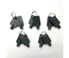 QNAP QNAP KEY-02-10PCS rack-toebehoren Vergrendelsleutel