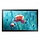 Samsung 13" Touch Display QBR-TM